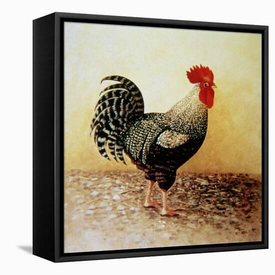 Speckled Rooster-Dory Coffee-Framed Stretched Canvas