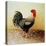 Speckled Rooster-Dory Coffee-Stretched Canvas