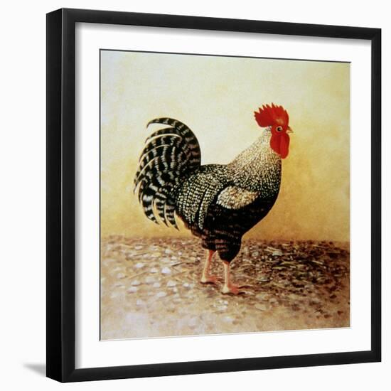 Speckled Rooster-Dory Coffee-Framed Giclee Print