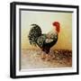 Speckled Rooster-Dory Coffee-Framed Giclee Print