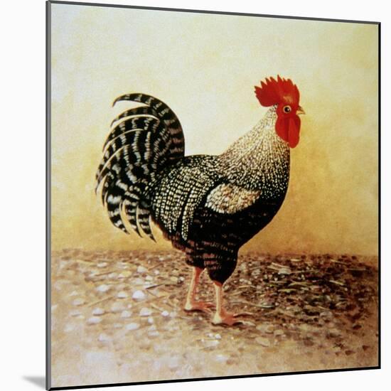 Speckled Rooster-Dory Coffee-Mounted Giclee Print