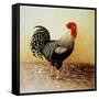 Speckled Rooster-Dory Coffee-Framed Stretched Canvas