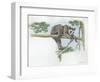 Spectacled Bear Tremarctos Ornatus Climbing Tree-null-Framed Giclee Print