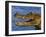 Spectacled Caiman, Llanos, Hato El Frio, Venezuela-Francois Savigny-Framed Photographic Print