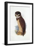 Spectacled Owl, August 1836-Edward Lear-Framed Giclee Print