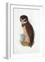 Spectacled Owl, August 1836-Edward Lear-Framed Giclee Print