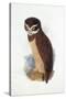 Spectacled Owl, August 1836-Edward Lear-Stretched Canvas