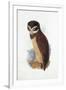 Spectacled Owl, August 1836-Edward Lear-Framed Giclee Print