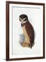 Spectacled Owl, August 1836-Edward Lear-Framed Giclee Print