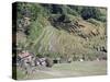 Spectacular Amphitheatre of Rice Terraces Around Mountain Province Village of Batad, Philippines-Robert Francis-Stretched Canvas