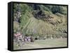 Spectacular Amphitheatre of Rice Terraces Around Mountain Province Village of Batad, Philippines-Robert Francis-Framed Stretched Canvas