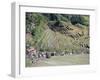 Spectacular Amphitheatre of Rice Terraces Around Mountain Province Village of Batad, Philippines-Robert Francis-Framed Photographic Print