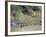 Spectacular Amphitheatre of Rice Terraces Around Mountain Province Village of Batad, Philippines-Robert Francis-Framed Photographic Print