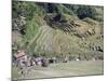 Spectacular Amphitheatre of Rice Terraces Around Mountain Province Village of Batad, Philippines-Robert Francis-Mounted Photographic Print