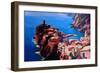 Spectacular Cinque Terre View to Vernazza, Ligure-Markus Bleichner-Framed Premium Giclee Print