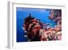 Spectacular Cinque Terre View to Vernazza, Ligure-Markus Bleichner-Framed Premium Giclee Print