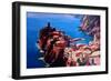 Spectacular Cinque Terre View to Vernazza, Ligure-Markus Bleichner-Framed Art Print