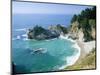 Spectacular Coastline with Waterfall, Julia Pfeiffer Burns State Park, Big Sur, USA-Ruth Tomlinson-Mounted Photographic Print