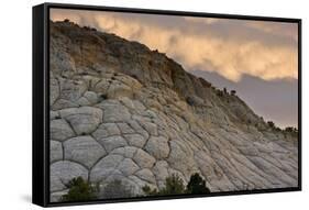 Spectacular cross-bedded Navajo sandstone rock (fossilised sand dunes) at sunset, Utah-Bob Gibbons-Framed Stretched Canvas