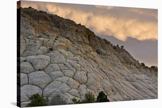 Spectacular cross-bedded Navajo sandstone rock (fossilised sand dunes) at sunset, Utah-Bob Gibbons-Stretched Canvas