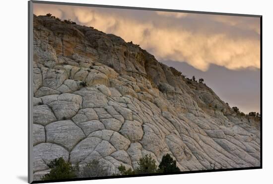 Spectacular cross-bedded Navajo sandstone rock (fossilised sand dunes) at sunset, Utah-Bob Gibbons-Mounted Photographic Print