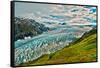 Spectacular Exit Glacier, Kenai Fjords National Park, Seward, Alaska-Mark A Johnson-Framed Stretched Canvas