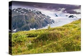 Spectacular Exit Glacier, Kenai Fjords National Park, Seward, Alaska-Mark A Johnson-Stretched Canvas