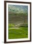 Spectacular Green Rice Field in Rainy Season, Ambalavao, Madagascar-Anthony Asael-Framed Photographic Print