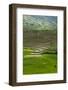 Spectacular Green Rice Field in Rainy Season, Ambalavao, Madagascar-Anthony Asael-Framed Photographic Print