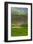 Spectacular Green Rice Field in Rainy Season, Ambalavao, Madagascar-Anthony Asael-Framed Photographic Print