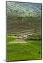 Spectacular Green Rice Field in Rainy Season, Ambalavao, Madagascar-Anthony Asael-Mounted Photographic Print