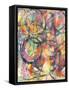 Spectacular I-Jodi Fuchs-Framed Stretched Canvas