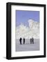 Spectacular Ice Sculptures, Harbin Ice and Snow Festival in Harbin, Heilongjiang Province, China-Gavin Hellier-Framed Photographic Print