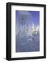 Spectacular Ice Sculptures, Harbin Ice and Snow Festival in Harbin, Heilongjiang Province, China-Gavin Hellier-Framed Photographic Print