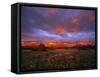 Spectacular Light on the Rocky Mountain Front at Blackleaf Canyon, Montana, USA-Chuck Haney-Framed Stretched Canvas