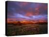 Spectacular Light on the Rocky Mountain Front at Blackleaf Canyon, Montana, USA-Chuck Haney-Stretched Canvas