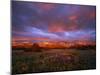 Spectacular Light on the Rocky Mountain Front at Blackleaf Canyon, Montana, USA-Chuck Haney-Mounted Photographic Print