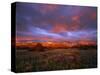 Spectacular Light on the Rocky Mountain Front at Blackleaf Canyon, Montana, USA-Chuck Haney-Stretched Canvas