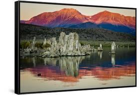 Spectacular Mono Lake in the shadow of the Eastern Sierras.-Jerry Ginsberg-Framed Stretched Canvas