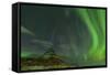 Spectacular Northern Lights over Mount Kirkjufell in Iceland-null-Framed Stretched Canvas