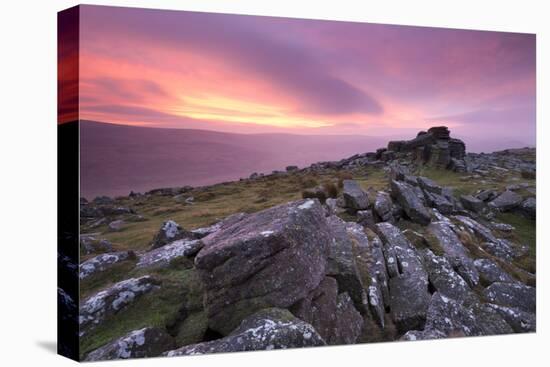 Spectacular Pink Sunrise Above Belstone Tor, Dartmoor, Devon, England. Winter-Adam Burton-Stretched Canvas