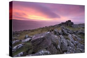 Spectacular Pink Sunrise Above Belstone Tor, Dartmoor, Devon, England. Winter-Adam Burton-Stretched Canvas