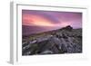 Spectacular Pink Sunrise Above Belstone Tor, Dartmoor, Devon, England. Winter-Adam Burton-Framed Photographic Print