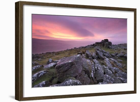 Spectacular Pink Sunrise Above Belstone Tor, Dartmoor, Devon, England. Winter-Adam Burton-Framed Photographic Print