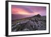 Spectacular Pink Sunrise Above Belstone Tor, Dartmoor, Devon, England. Winter-Adam Burton-Framed Photographic Print