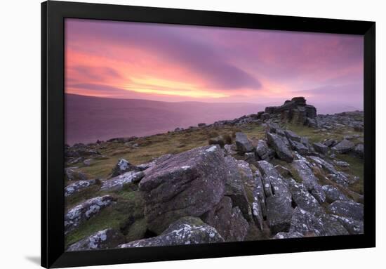 Spectacular Pink Sunrise Above Belstone Tor, Dartmoor, Devon, England. Winter-Adam Burton-Framed Photographic Print