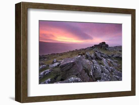 Spectacular Pink Sunrise Above Belstone Tor, Dartmoor, Devon, England. Winter-Adam Burton-Framed Photographic Print