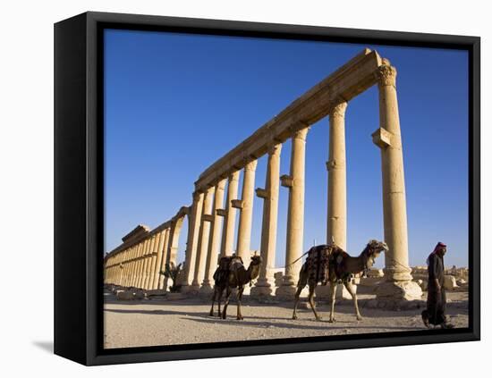 Spectacular Ruined City of Palmyra, Syria-Julian Love-Framed Stretched Canvas