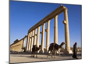 Spectacular Ruined City of Palmyra, Syria-Julian Love-Mounted Photographic Print