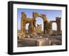 Spectacular Ruined City of Palmyra, Syria-Julian Love-Framed Photographic Print